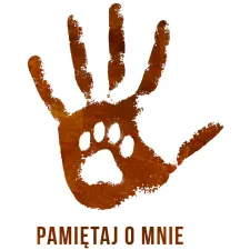 Krematorium dla zwierząt Łódź - kremacja psa kota - Pamiętaj o mnie BOK